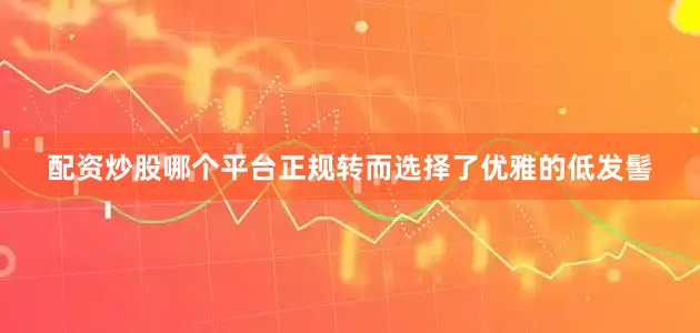 配资炒股哪个平台正规转而选择了优雅的低发髻