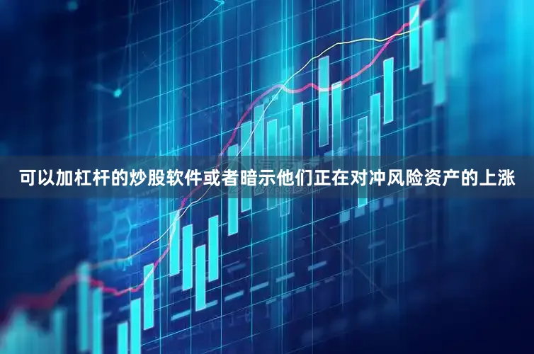 可以加杠杆的炒股软件或者暗示他们正在对冲风险资产的上涨