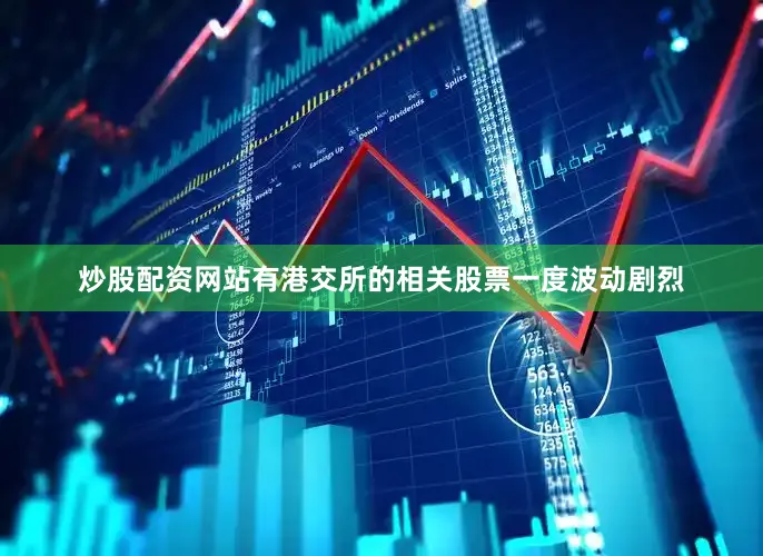 炒股配资网站有港交所的相关股票一度波动剧烈